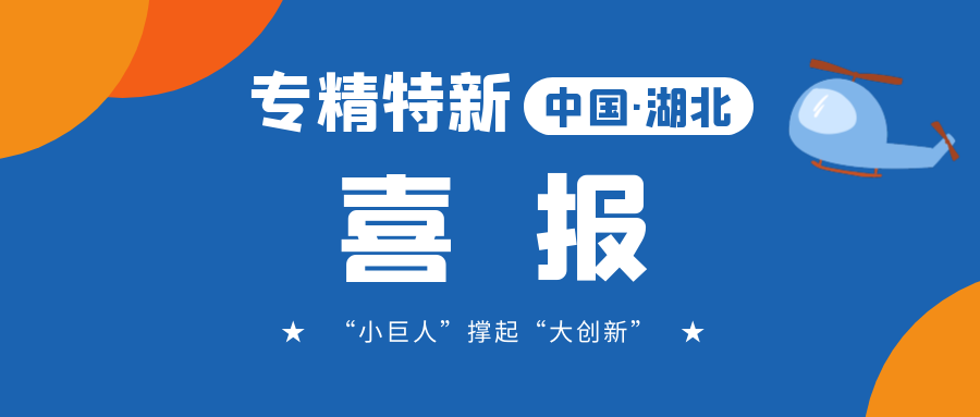 喜報(bào)!飛燕遙感成功入選省級專精特新“小巨人”企業(yè)